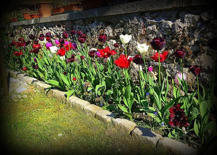Agriturismo Borgovecchio